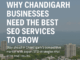 Best SEO Services in Chandigarh