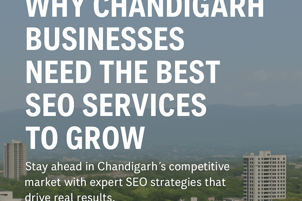Best SEO Services in Chandigarh