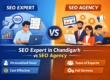 SEO Expert in Chandigarh vs SEO Agency