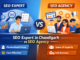 SEO Expert in Chandigarh vs SEO Agency